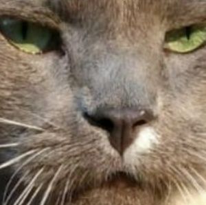 Meet your Posher, Lay